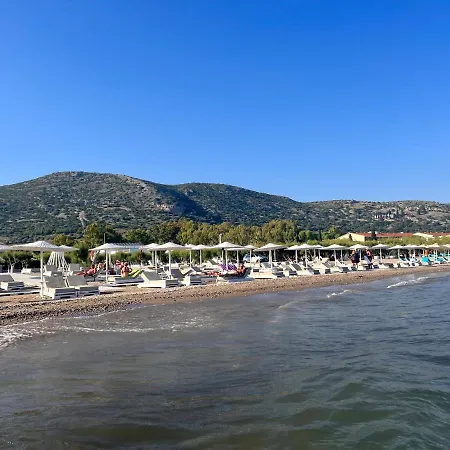 Vila Oasis At Samos Island
